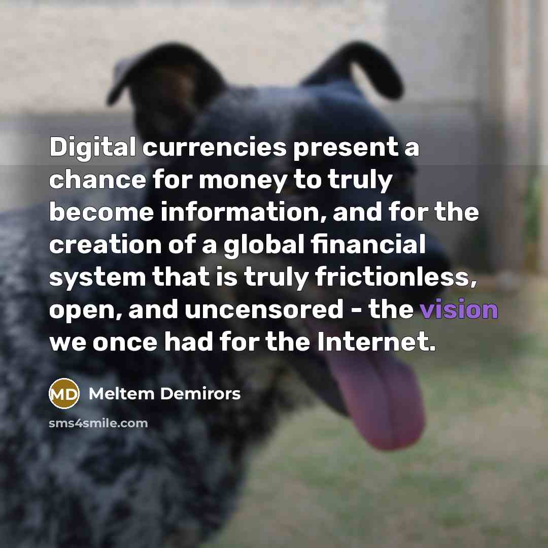 “Digital currencies present a chance for money to truly become information, and for the creation of a global financial system that is truly frictionless, open, and uncensored - the vision we once had for the Internet.” quote by Meltem Demirors