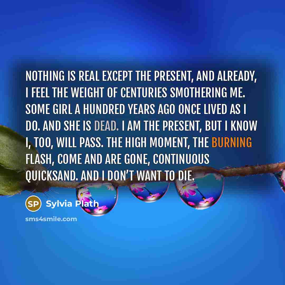 “Nothing is real except the present, and already, I feel the weight of centuries smothering me. Some girl a hundred years ago once lived as I do. And she is dead. I am the present, but I know I, too, will pass. The high moment, the burning flash, come and are gone, continuous quicksand. And I don’t…” quote by Sylvia Plath