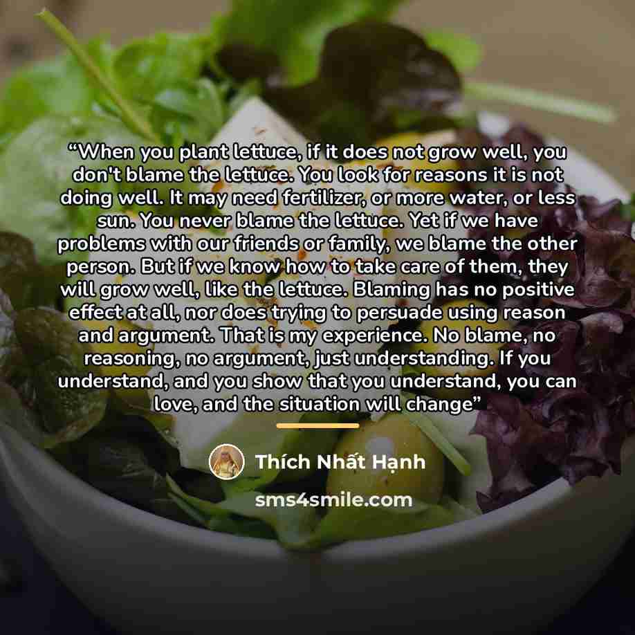 “When you plant lettuce, if it does not grow well, you don't blame the lettuce. You look for reasons it is not doing well. It may need fertilizer, or more water, or less sun. You never blame the lettuce. Yet if we have problems with our friends or family, we blame the other person. But if we know…” quote by Thich Nhat Hanh