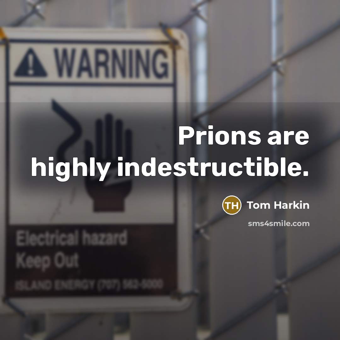 “Prions are highly indestructible.” quote by Tom Harkin