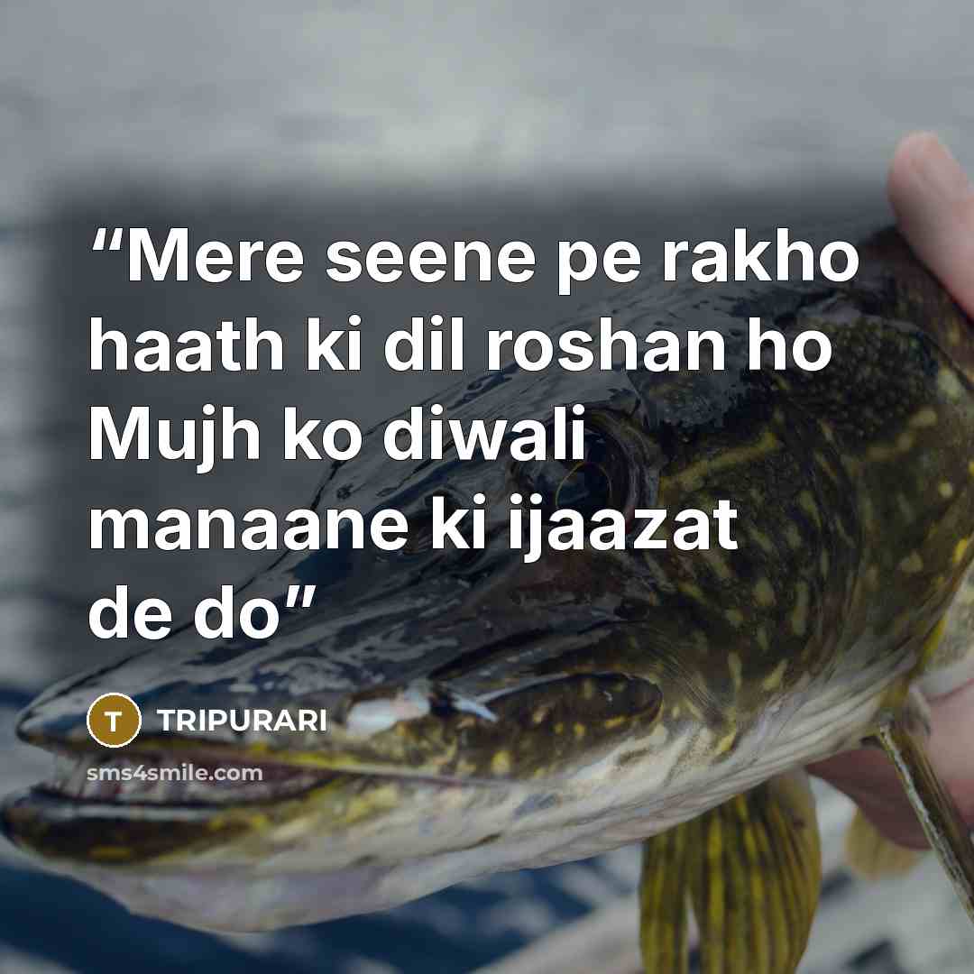 “Mere seene pe rakho haath ki dil roshan ho Mujh ko diwali manaane ki ijaazat de do” quote by TRIPURARI