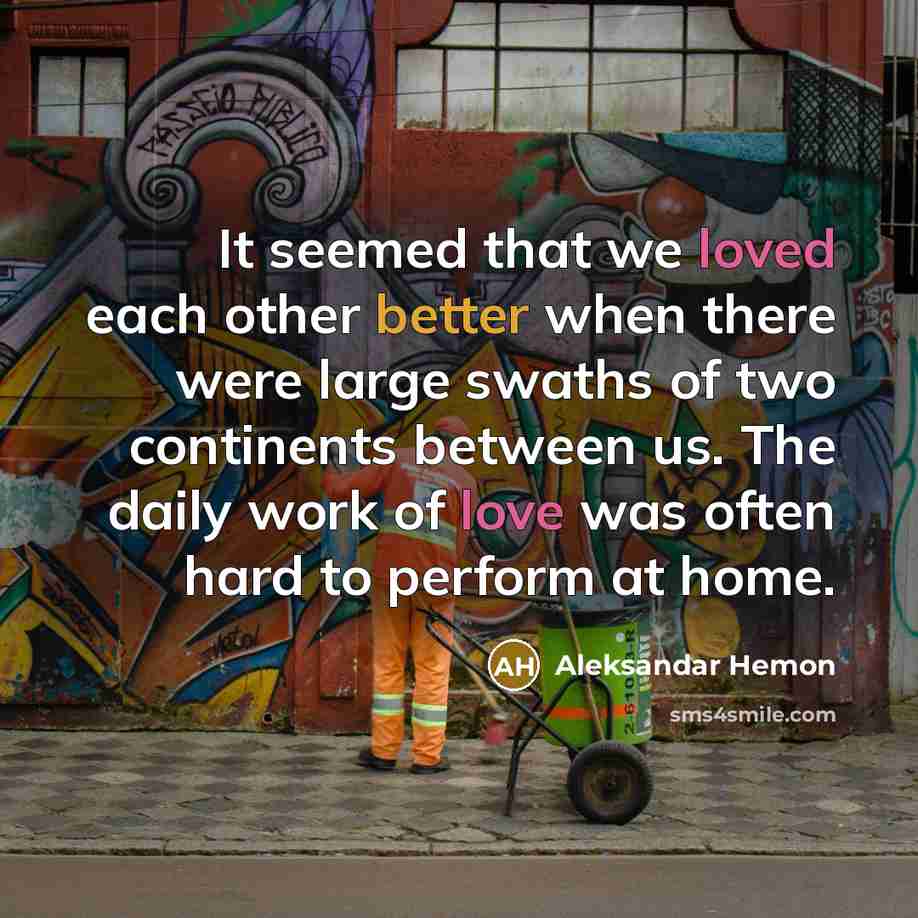 “It seemed that we loved each other better when there were large swaths of two continents between us. The daily work of love was often hard to perform at home.” quote by Aleksandar Hemon