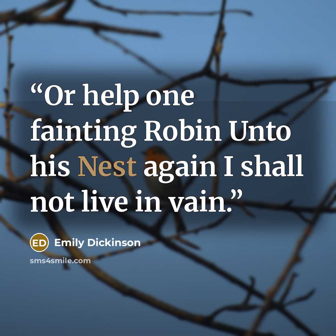 “Or help one fainting Robin Unto his Nest again I shall not live in vain.” quote by Emily Dickinson