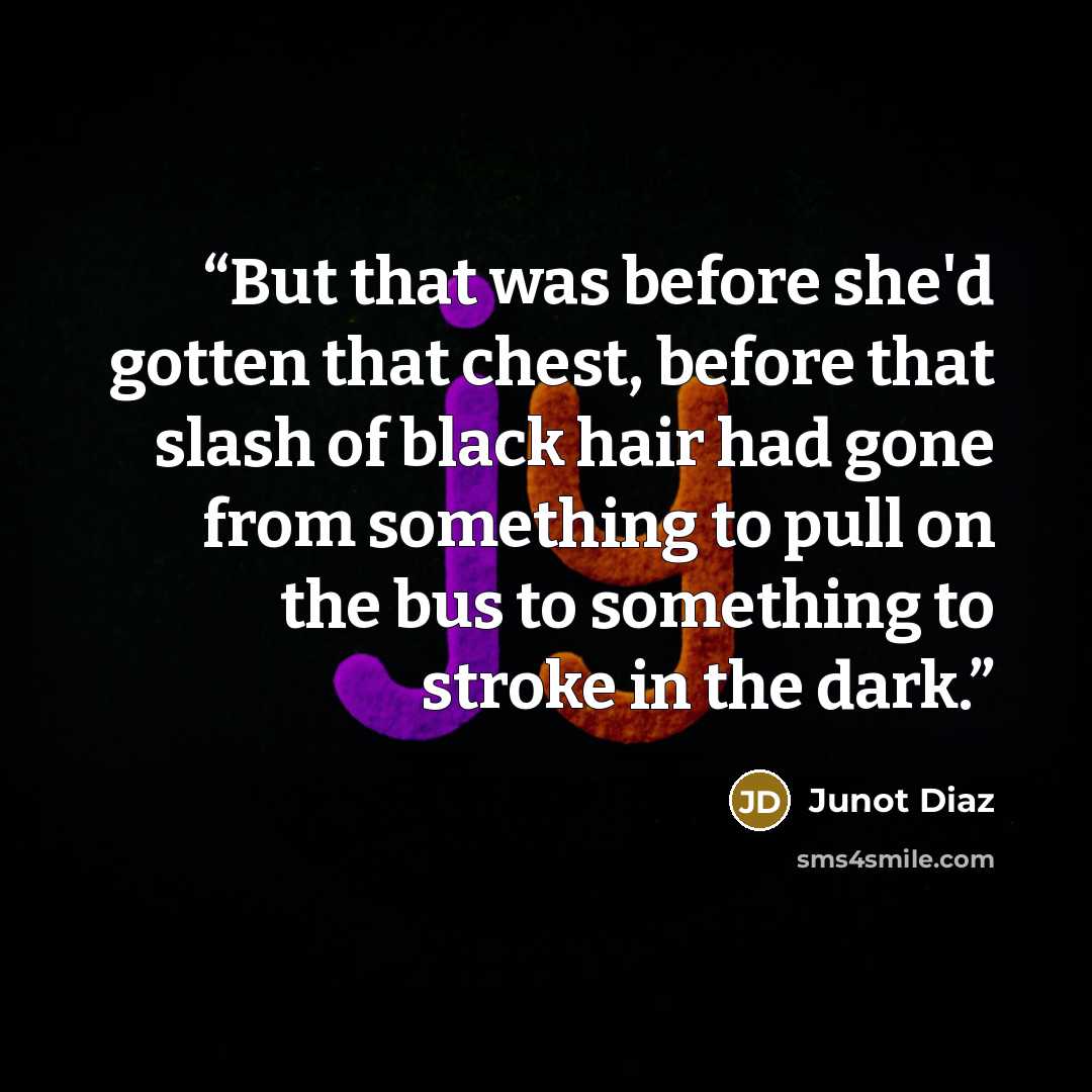 “But that was before she'd gotten that chest, before that slash of black hair had gone from something to pull on the bus to something to stroke in the dark.” quote by Junot Díaz