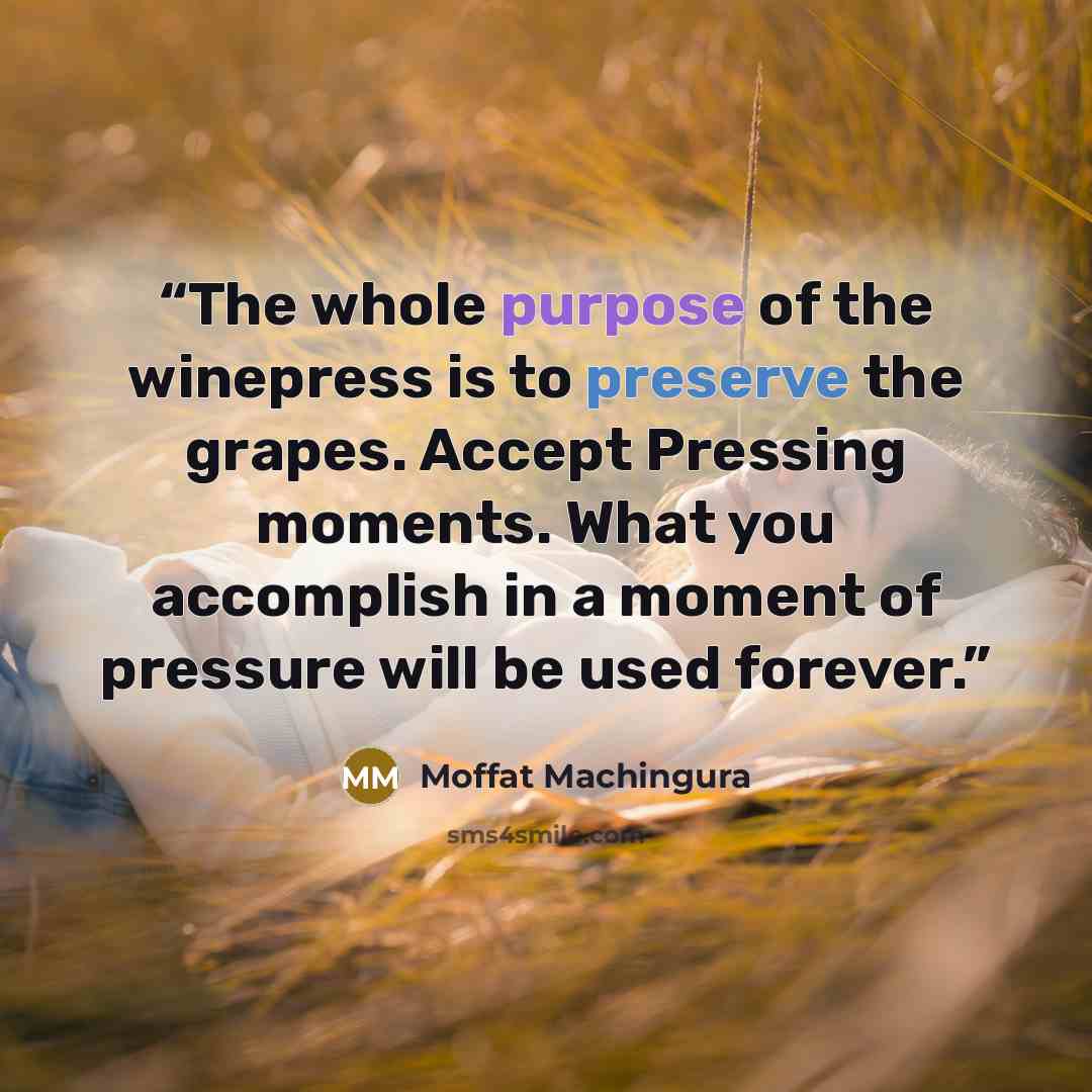 “The whole purpose of the winepress is to preserve the grapes. Accept Pressing moments. What you accomplish in a moment of pressure will be used forever.” quote by Moffat Machingura