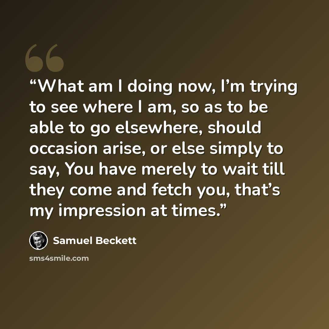 “What am I doing now, I’m trying to see where I am, so as to be able to go elsewhere, should occasion arise, or else simply to say, You have merely to wait till they come and fetch you, that’s my impression at times.” quote by Samuel Beckett