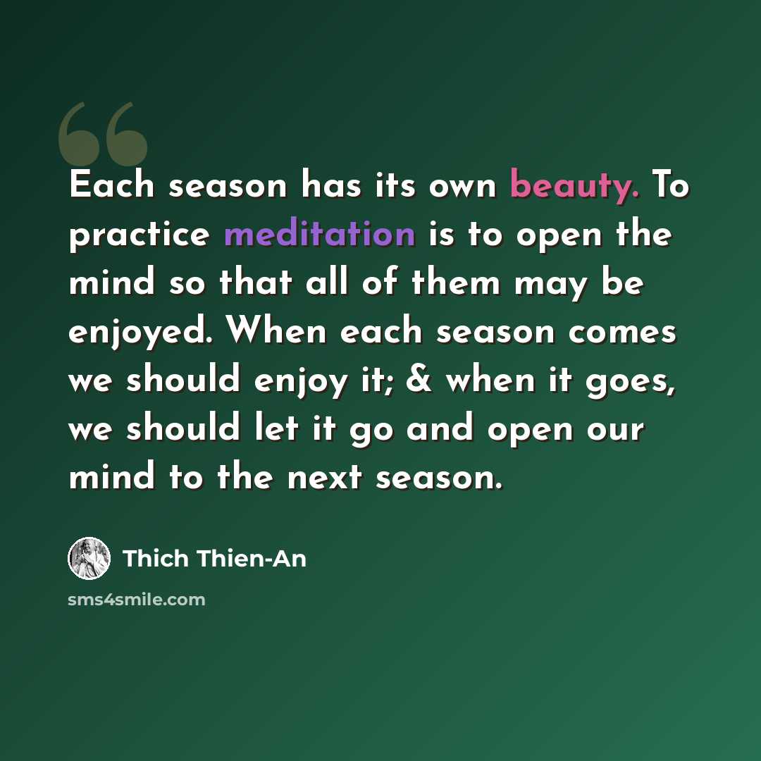 “Each season has its own beauty. To practice meditation is to open the mind so that all of them may be enjoyed. When each season comes we should enjoy it; & when it goes, we should let it go and open our mind to the next season.” quote by Thich Thien-An