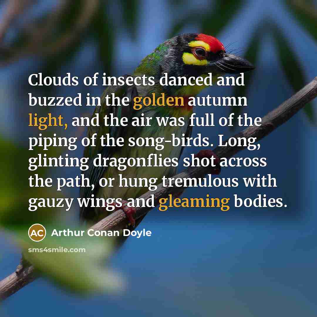 “Clouds of insects danced and buzzed in the golden autumn light, and the air was full of the piping of the song-birds. Long, glinting dragonflies shot across the path, or hung tremulous with gauzy wings and gleaming bodies.” quote by Arthur Conan Doyle