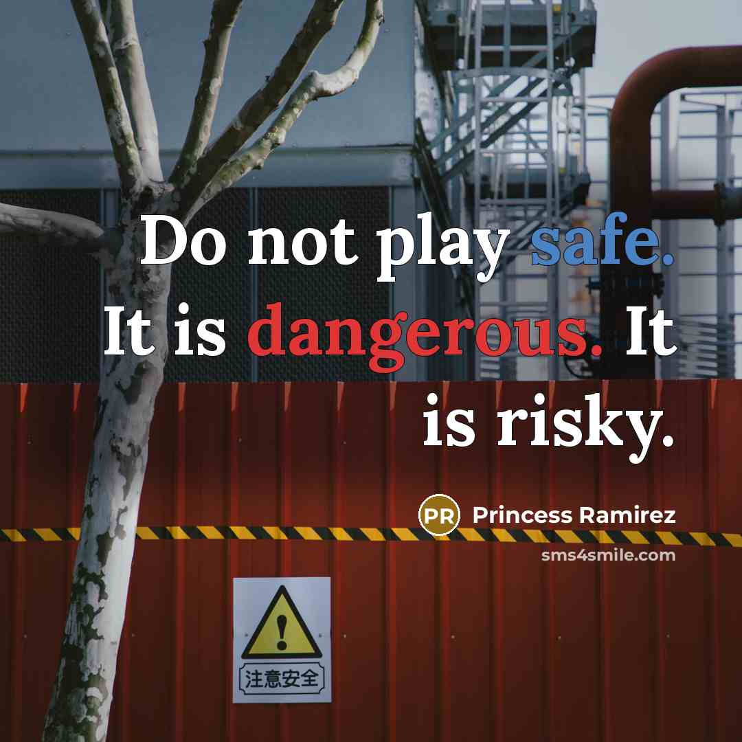 “Do not play safe. It is dangerous. It is risky.” quote by Princess Ramirez