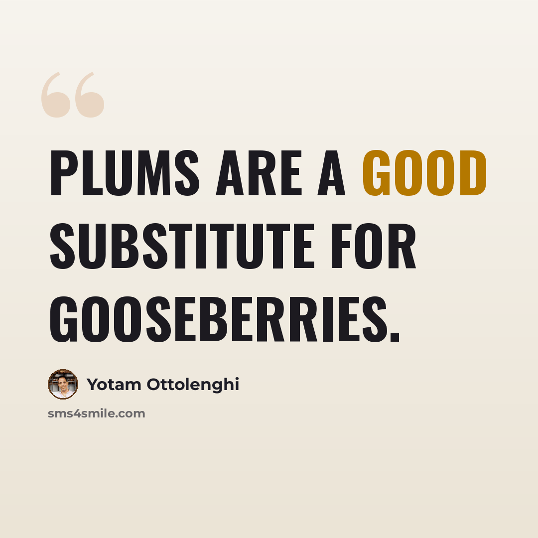 “Plums are a good substitute for gooseberries.” quote by Yotam Ottolenghi