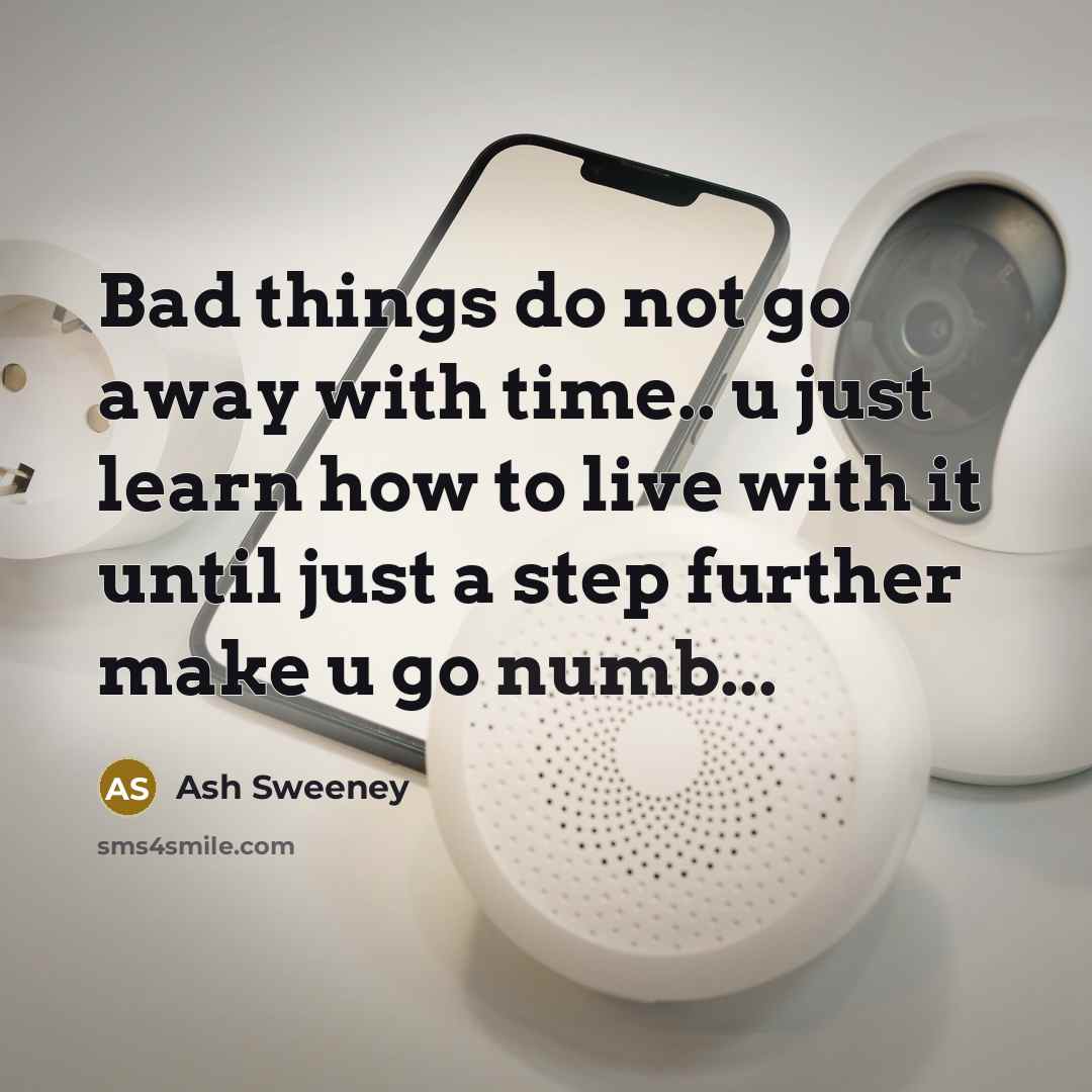 “Bad things do not go away with time.. u just learn how to live with it until just a step further make u go numb...” quote by Ash Sweeney