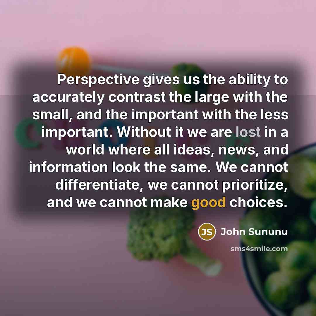 “Perspective gives us the ability to accurately contrast the large with the small, and the important with the less important. Without it we are lost in a world where all ideas, news, and information look the same. We cannot differentiate, we cannot prioritize, and we cannot make good choices.” quote by John Sununu
