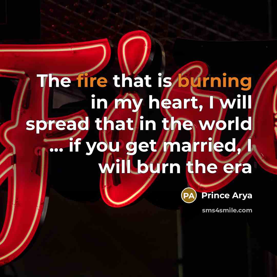 “The fire that is burning in my heart, I will spread that in the world ... if you get married, I will burn the era” quote by Prince Arya