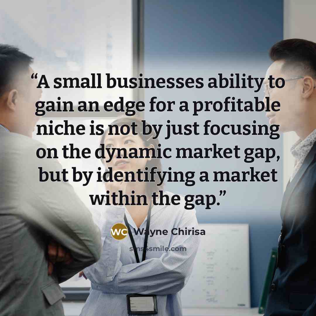 “A small businesses ability to gain an edge for a profitable niche is not by just focusing on the dynamic market gap, but by identifying a market within the gap.” quote by Wayne Chirisa