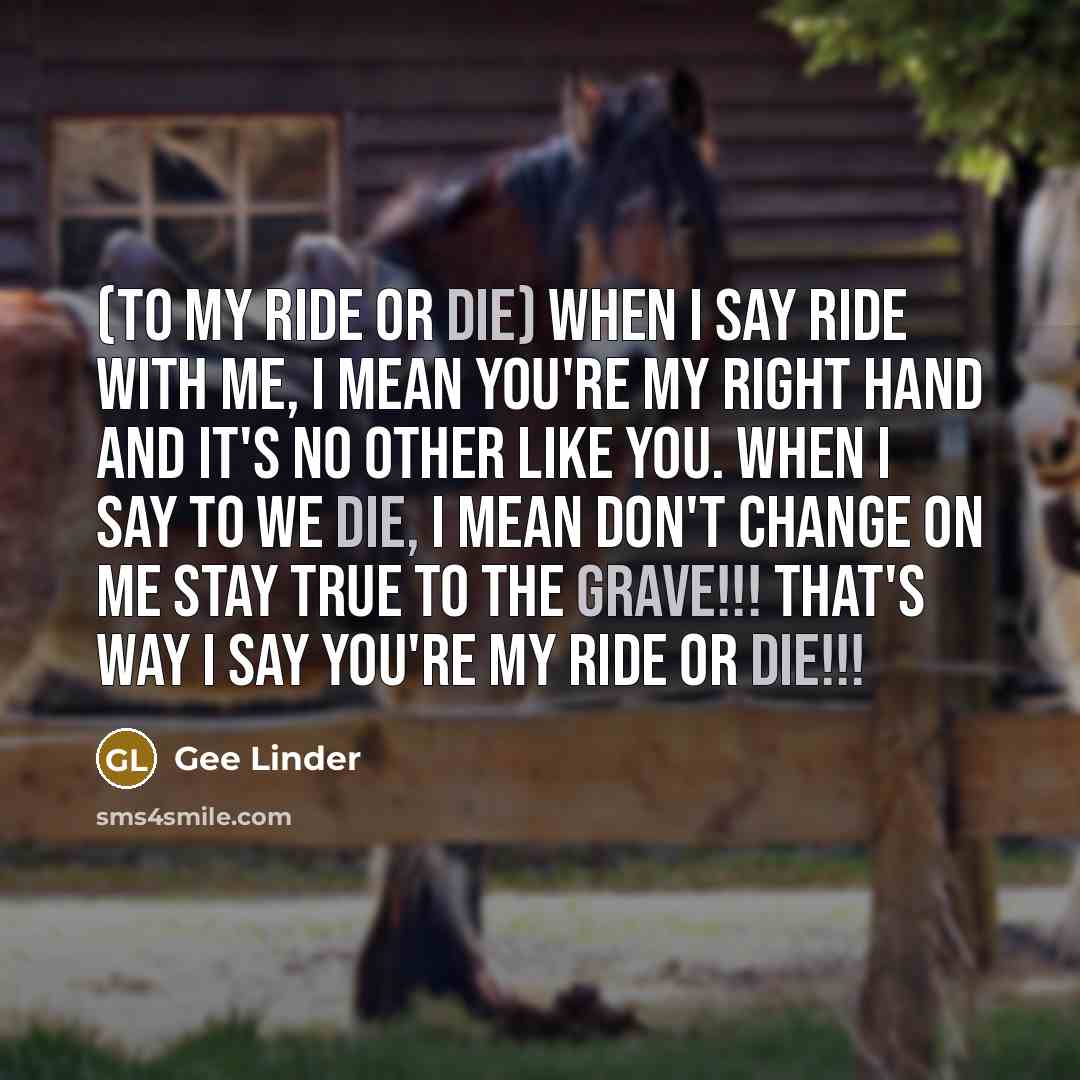“(To My Ride Or Die) When I say ride with me, I mean you're my right hand and it's no other like you. When I say to we die, I mean don't change on me stay true to the grave!!! That's way I say you're my ride or die!!!” quote by Gee Linder