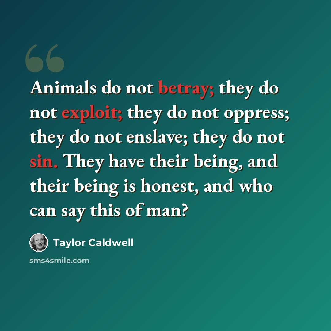 “Animals do not betray; they do not exploit; they do not oppress; they do not enslave; they do not sin. They have their being, and their being is honest, and who can say this of man?” quote by Taylor Caldwell