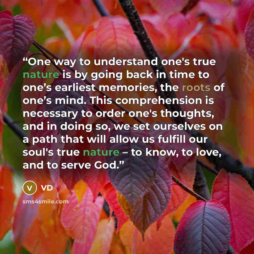 “One way to understand one's true nature is by going back in time to one’s earliest memories, the roots of one’s mind. This comprehension is necessary to order one's thoughts, and in doing so, we set ourselves on a path that will allow us fulfill our soul's true nature – to know, to love, and to…” quote by VD