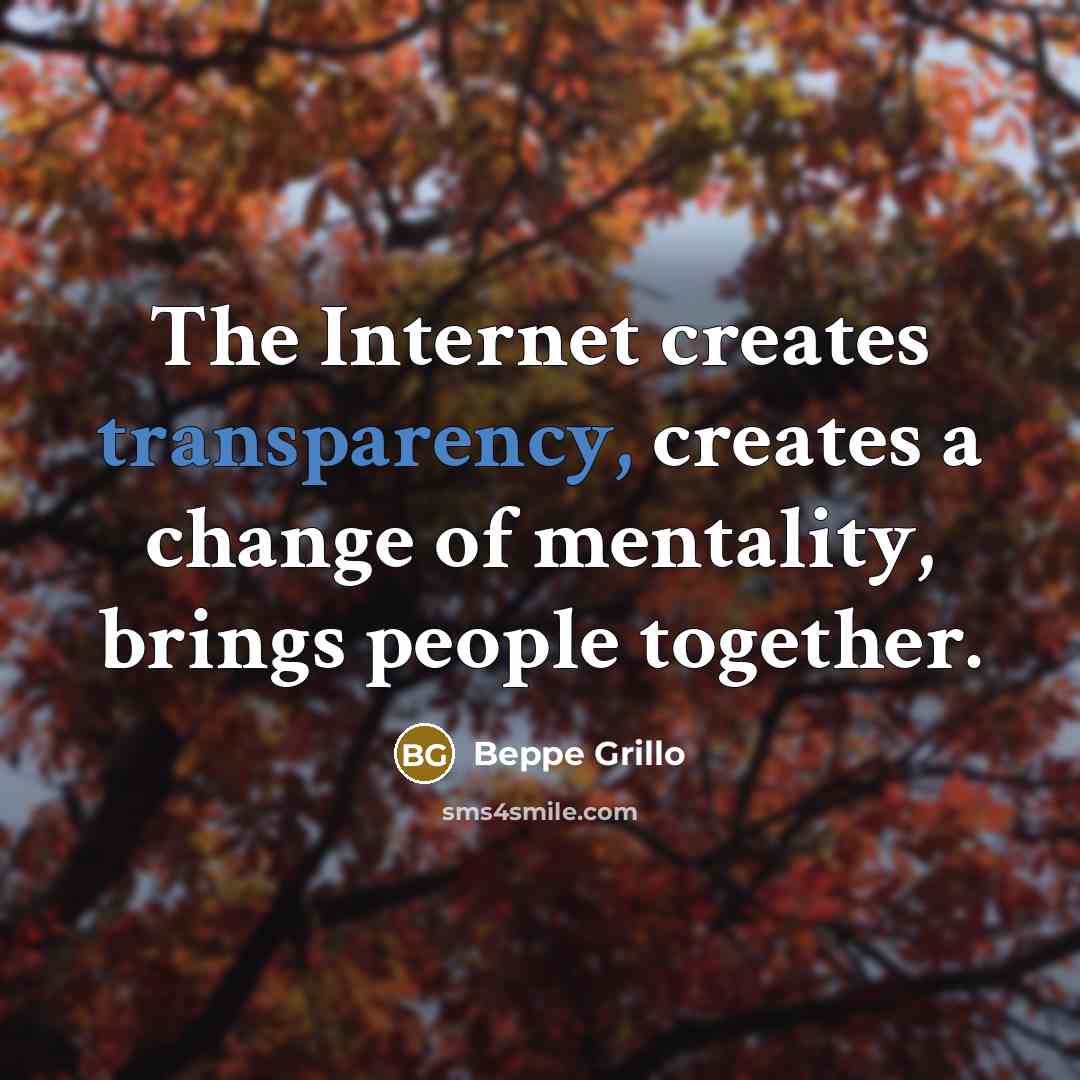 “The Internet creates transparency, creates a change of mentality, brings people together.” quote by Beppe Grillo