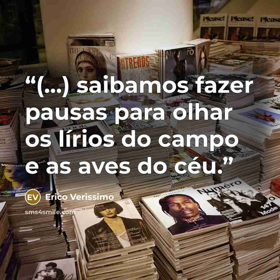 “(...) saibamos fazer pausas para olhar os lírios do campo e as aves do céu.” quote by Érico Veríssimo