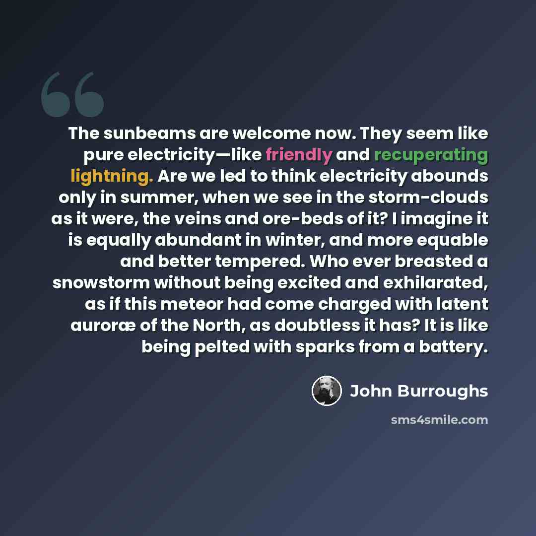 “The sunbeams are welcome now. They seem like pure electricity—like friendly and recuperating lightning. Are we led to think electricity abounds only in summer, when we see in the storm-clouds as it were, the veins and ore-beds of it? I imagine it is equally abundant in winter, and more equable and…” quote by John Burroughs