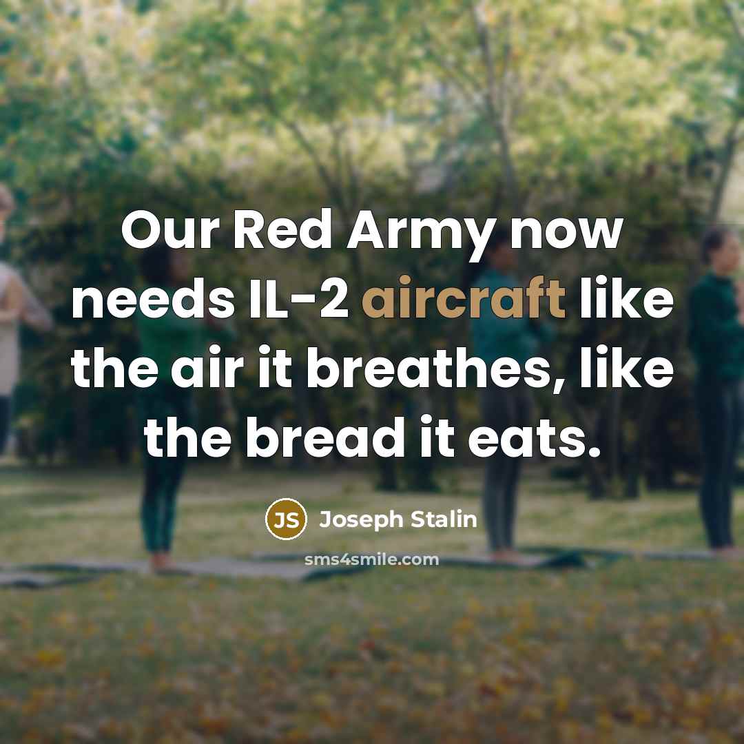 “Our Red Army now needs IL-2 aircraft like the air it breathes, like the bread it eats.” quote by Joseph Stalin