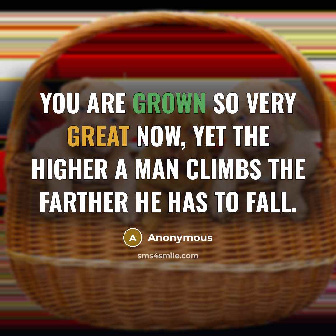 “You are grown so very great now, yet the higher a man climbs the farther he has to fall.” quote by Anonymous
