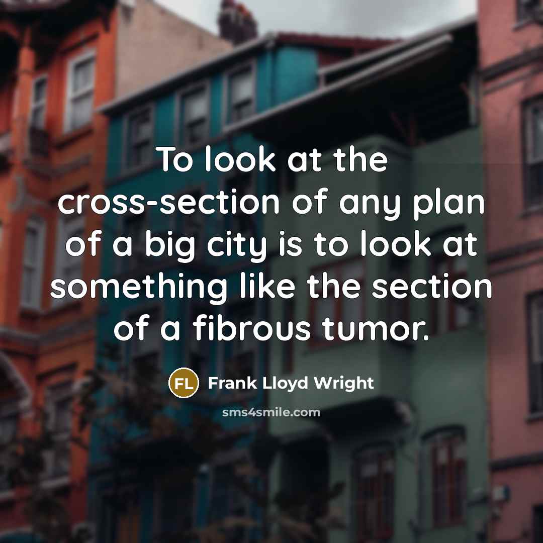 “To look at the cross-section of any plan of a big city is to look at something like the section of a fibrous tumor.” quote by Frank Lloyd Wright