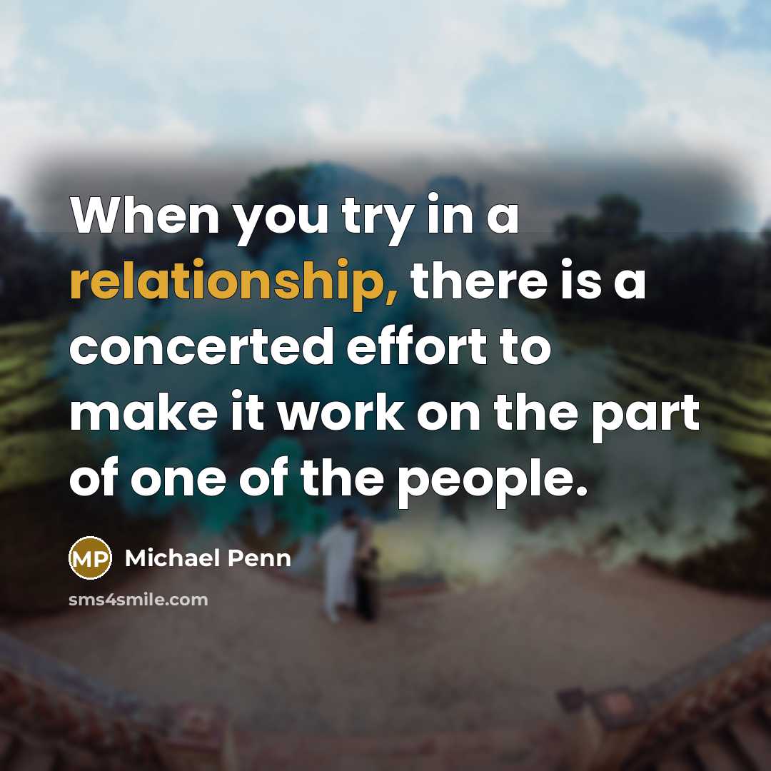 “When you try in a relationship, there is a concerted effort to make it work on the part of one of the people.” quote by Michael Penn