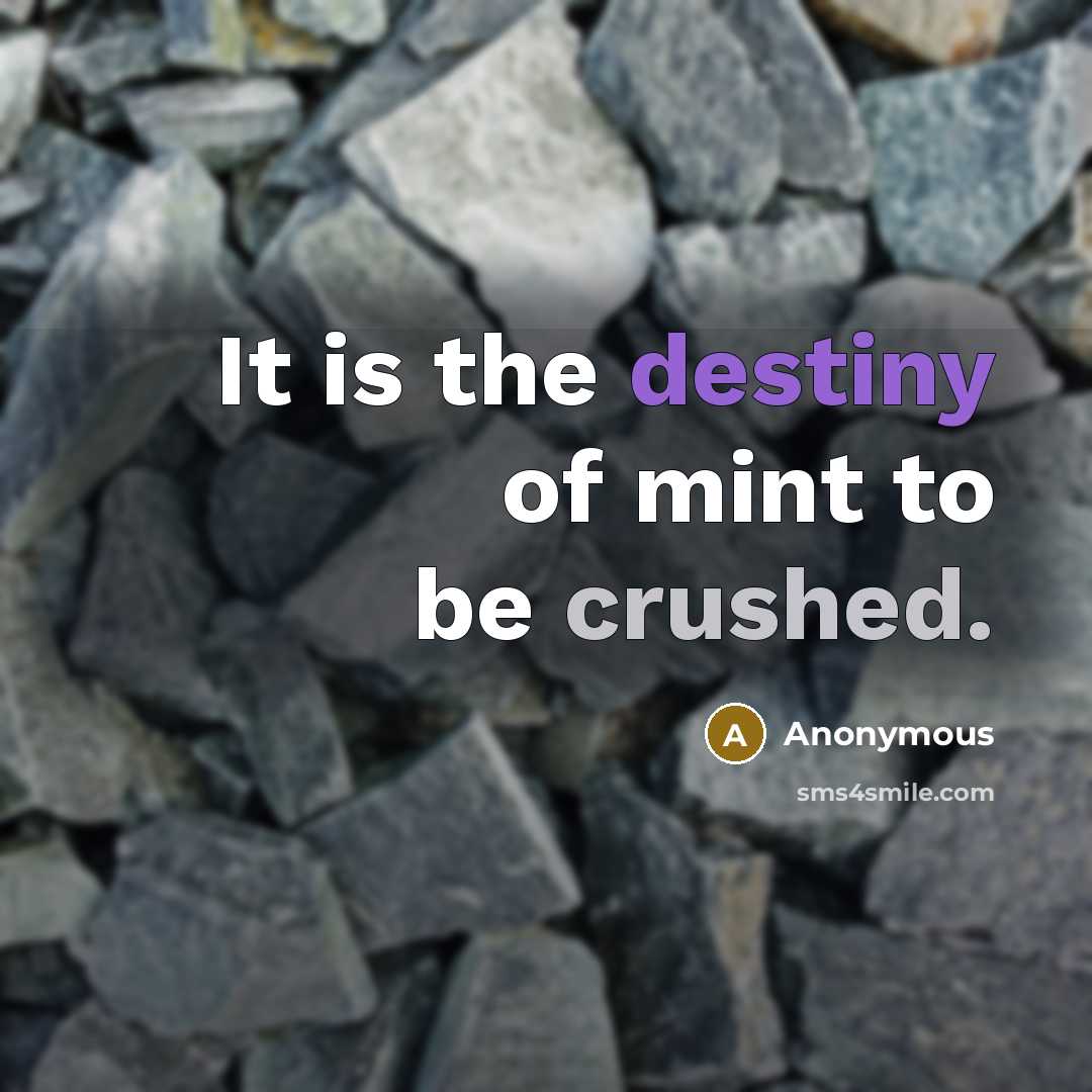 “It is the destiny of mint to be crushed.” quote by Anonymous