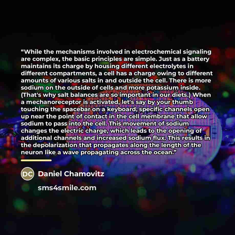 “While the mechanisms involved in electrochemical signaling are complex, the basic principles are simple. Just as a battery maintains its charge by housing different electrolytes in different compartments, a cell has a charge owing to different amounts of various salts in and outside the cell…” quote by Daniel Chamovitz