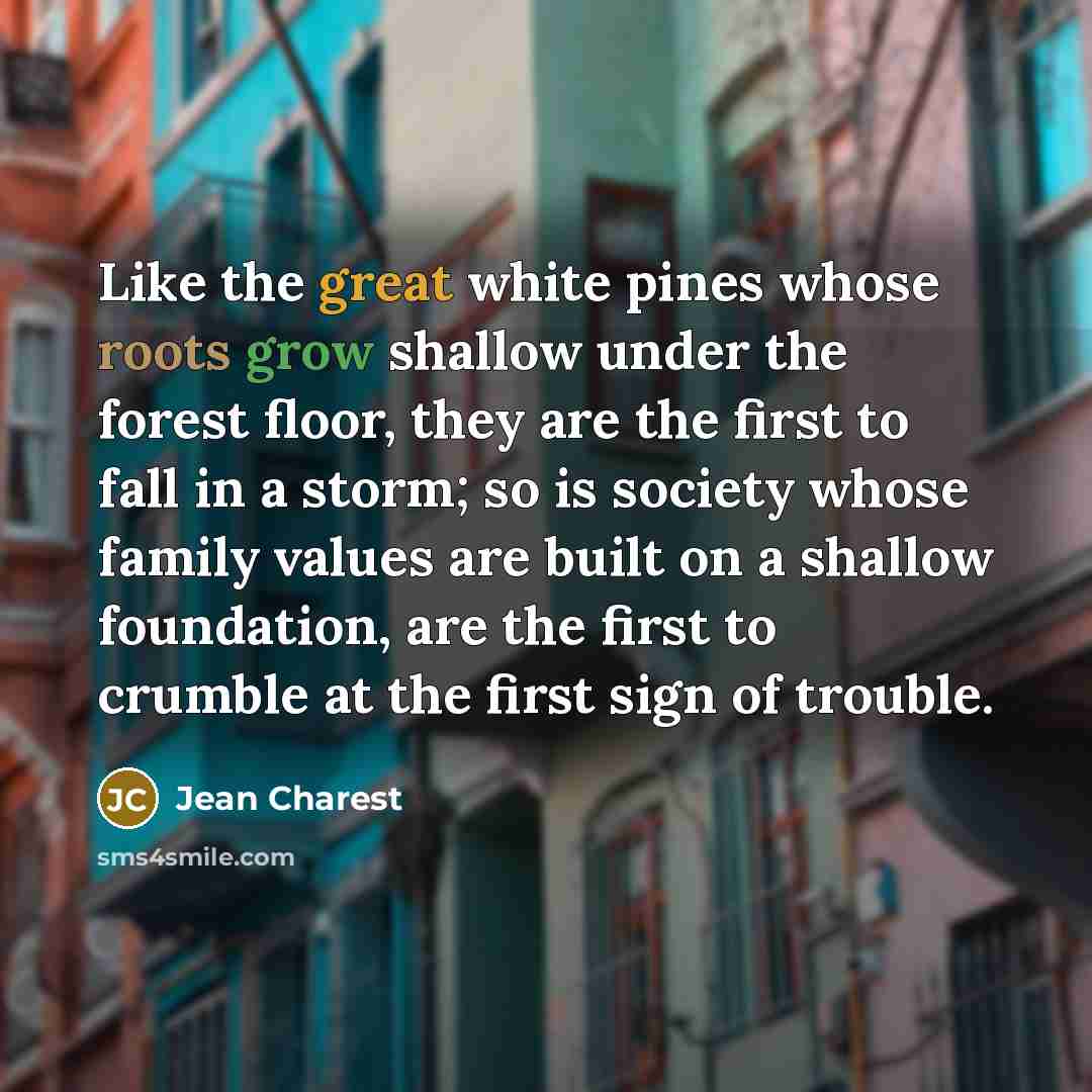 “Like the great white pines whose roots grow shallow under the forest floor, they are the first to fall in a storm; so is society whose family values are built on a shallow foundation, are the first to crumble at the first sign of trouble.” quote by Jean Charest