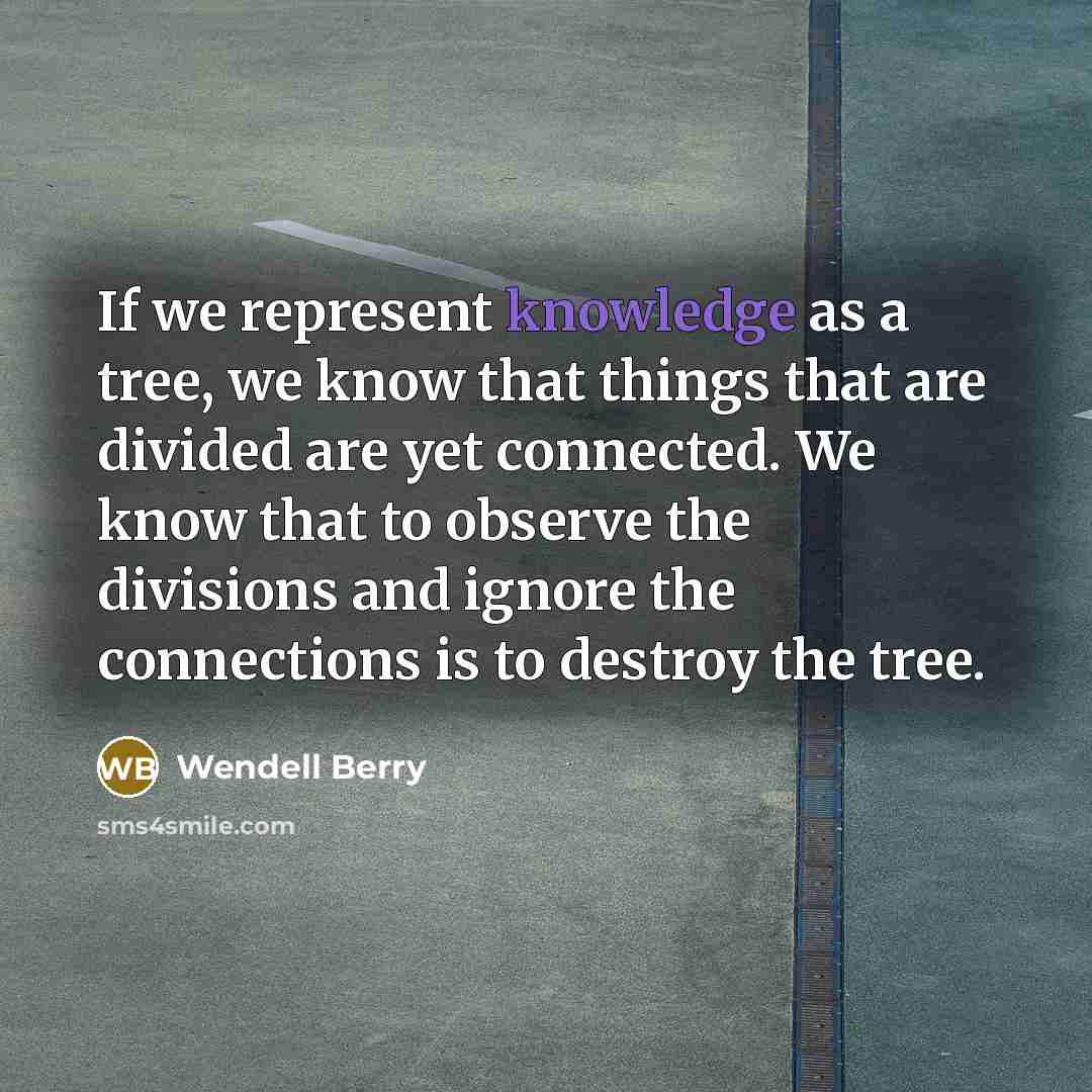 “If we represent knowledge as a tree, we know that things that are divided are yet connected. We know that to observe the divisions and ignore the connections is to destroy the tree.” quote by Wendell Berry