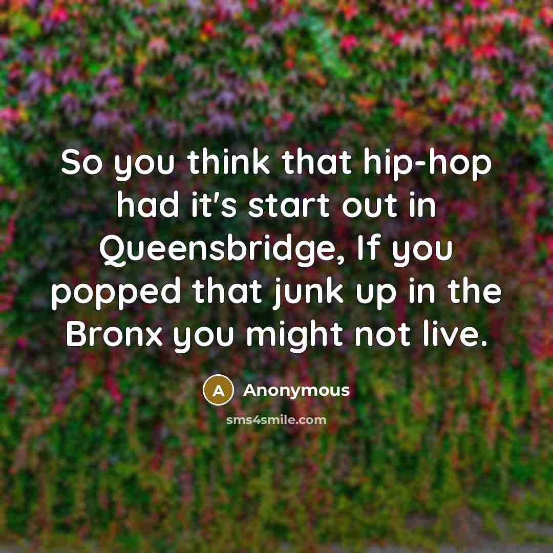 “So you think that hip-hop had it's start out in Queensbridge, If you popped that junk up in the Bronx you might not live.” quote by Anonymous