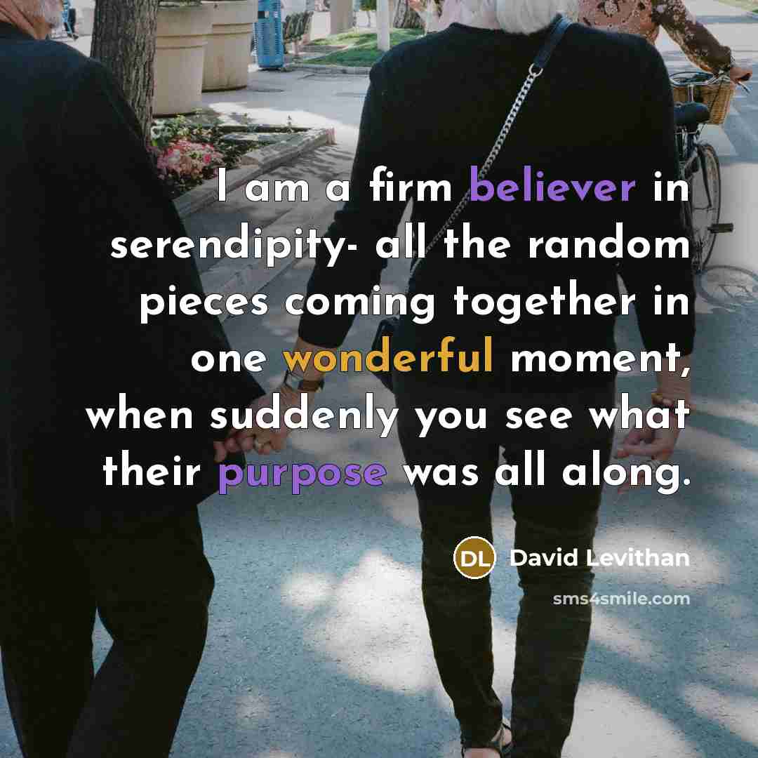 “I am a firm believer in serendipity- all the random pieces coming together in one wonderful moment, when suddenly you see what their purpose was all along.” quote by David Levithan