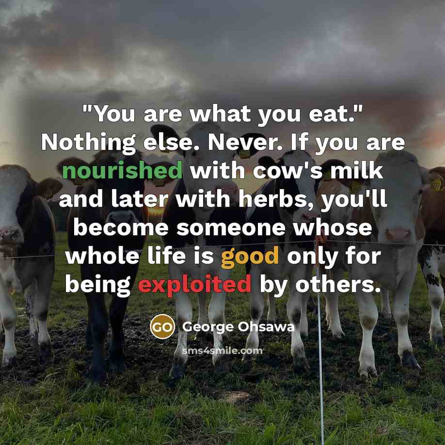 “"You are what you eat." Nothing else. Never. If you are nourished with cow's milk and later with herbs, you'll become someone whose whole life is good only for being exploited by others.” quote by George Ohsawa