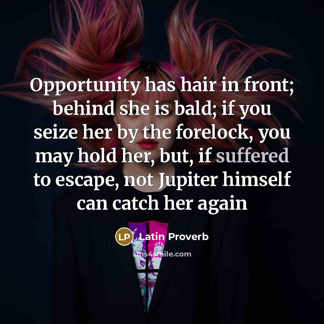 “Opportunity has hair in front; behind she is bald; if you seize her by the forelock, you may hold her, but, if suffered to escape, not Jupiter himself can catch her again” quote by Latin Proverb