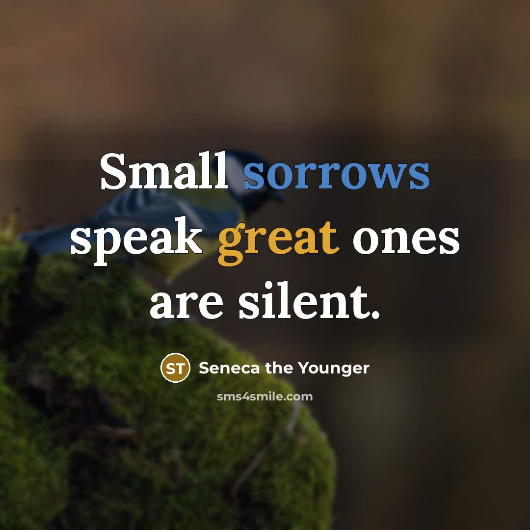 “Small sorrows speak great ones are silent.” quote by Seneca the Younger