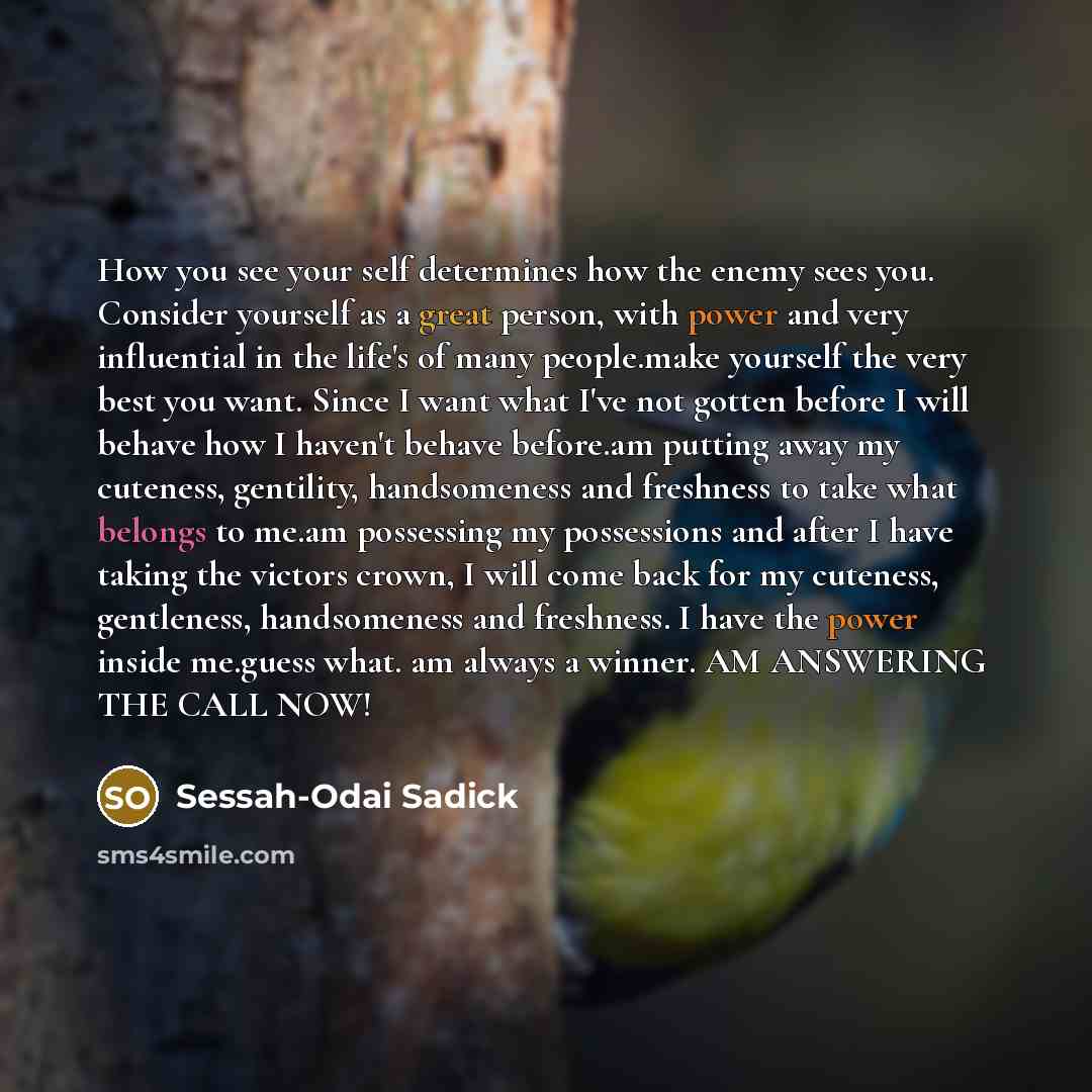 “How you see your self determines how the enemy sees you. Consider yourself as a great person, with power and very influential in the life's of many people.make yourself the very best you want. Since I want what I've not gotten before I will behave how I haven't behave before.am putting away my…” quote by Sessah-Odai Sadick