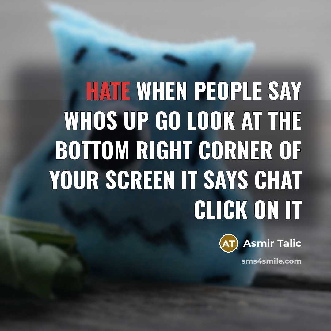 “Hate when people say whos up go look at the bottom right corner of your screen it says chat click on it” quote by Asmir Talic