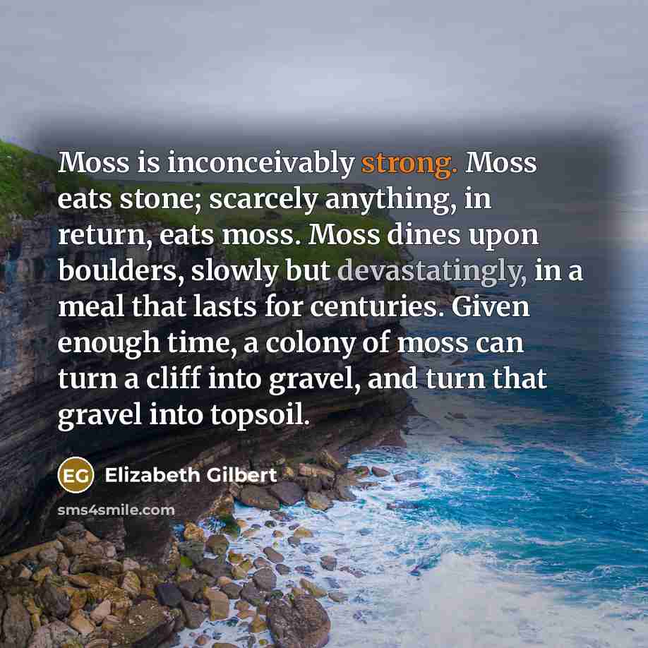 “Moss is inconceivably strong. Moss eats stone; scarcely anything, in return, eats moss. Moss dines upon boulders, slowly but devastatingly, in a meal that lasts for centuries. Given enough time, a colony of moss can turn a cliff into gravel, and turn that gravel into topsoil.” quote by Elizabeth Gilbert