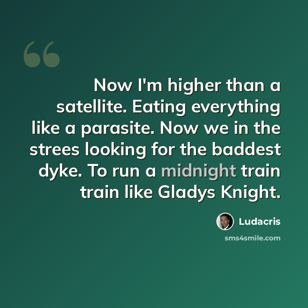 “Now I'm higher than a satellite. Eating everything like a parasite. Now we in the strees looking for the baddest dyke. To run a midnight train train like Gladys Knight.” quote by Ludacris