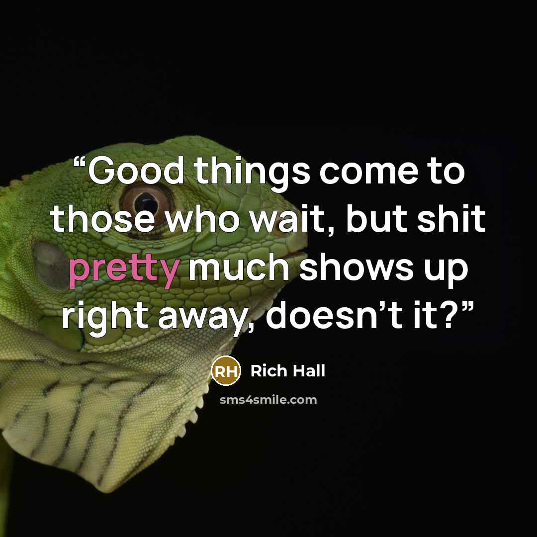 “Good things come to those who wait, but shit pretty much shows up right away, doesn't it?” quote by Rich Hall
