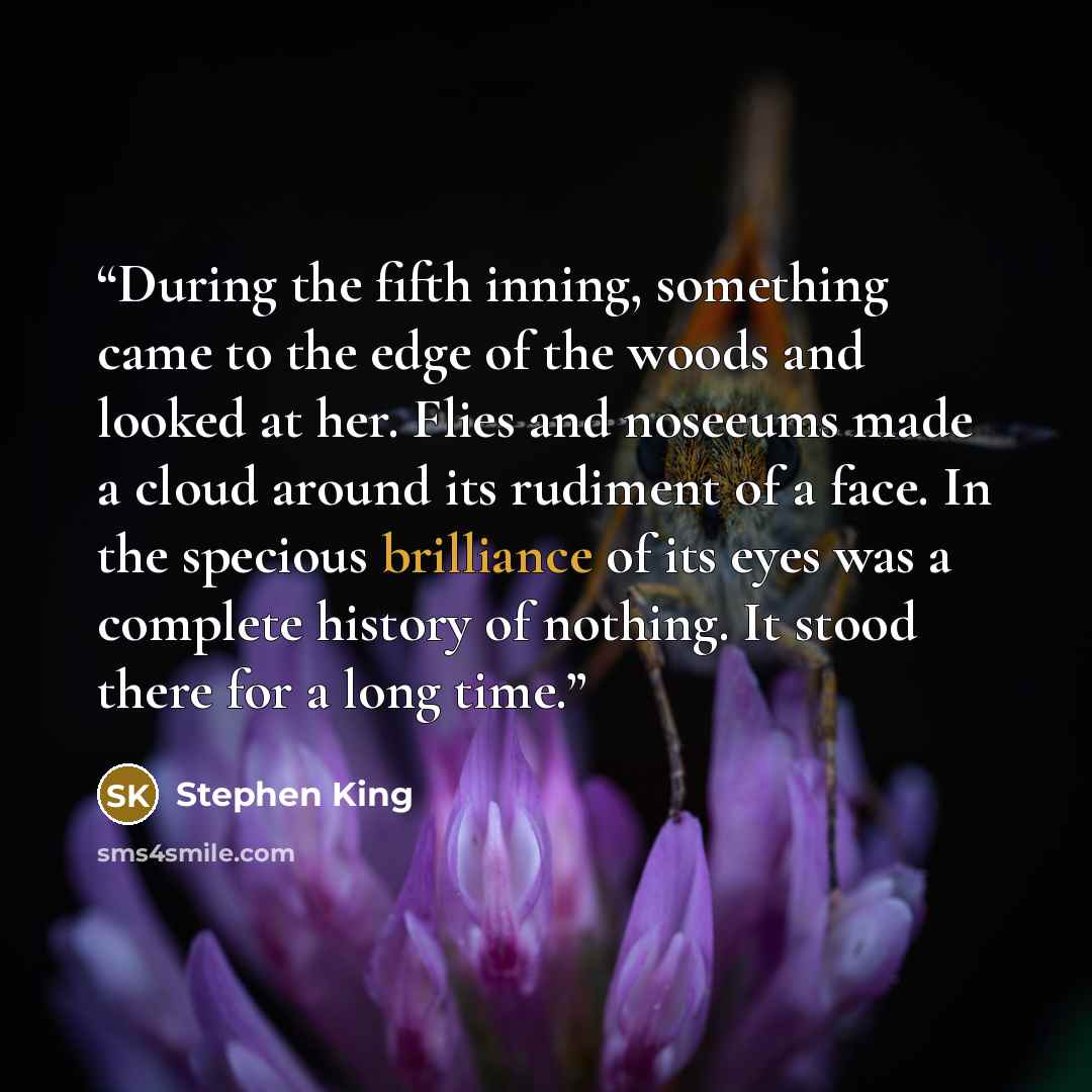 “During the fifth inning, something came to the edge of the woods and looked at her. Flies and noseeums made a cloud around its rudiment of a face. In the specious brilliance of its eyes was a complete history of nothing. It stood there for a long time.” quote by Stephen King