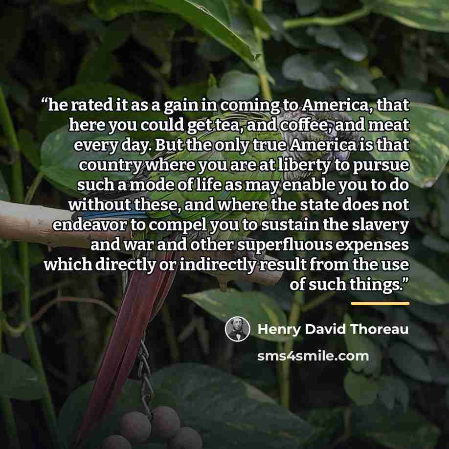 “he rated it as a gain in coming to America, that here you could get tea, and coffee, and meat every day. But the only true America is that country where you are at liberty to pursue such a mode of life as may enable you to do without these, and where the state does not endeavor to compel you to…” quote by Henry David Thoreau