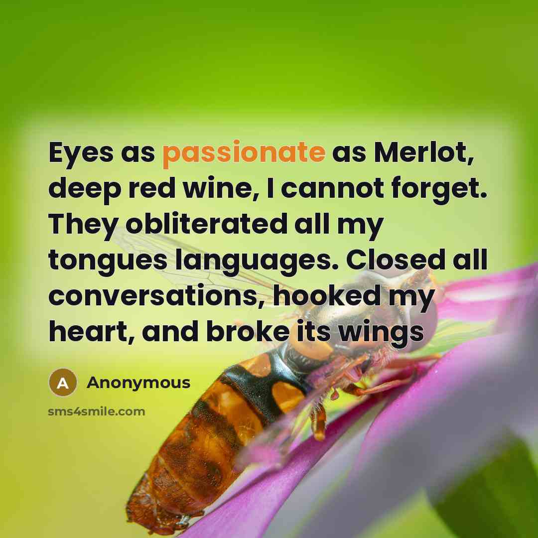 “Eyes as passionate as Merlot, deep red wine, I cannot forget. They obliterated all my tongues languages. Closed all conversations, hooked my heart, and broke its wings” quote by Anonymous