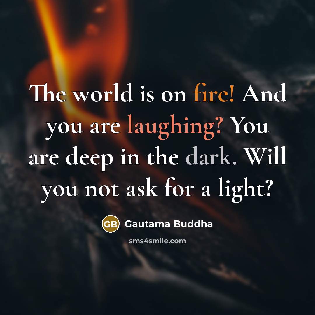 “The world is on fire! And you are laughing? You are deep in the dark. Will you not ask for a light?” quote by Gautama Buddha