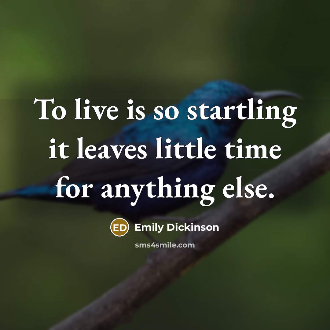 “To live is so startling it leaves little time for anything else.” quote by Emily Dickinson