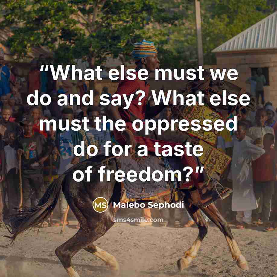 “What else must we do and say? What else must the oppressed do for a taste of freedom?” quote by Malebo Sephodi