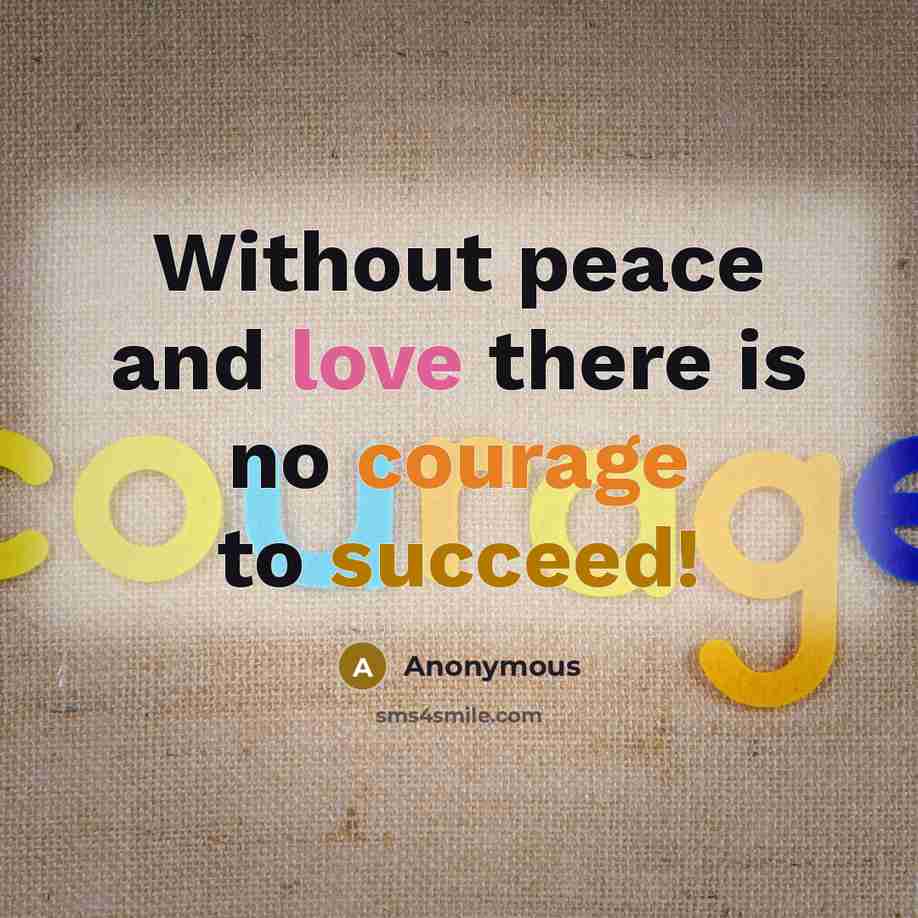 “Without peace and love there is no courage to succeed!” quote by Anonymous