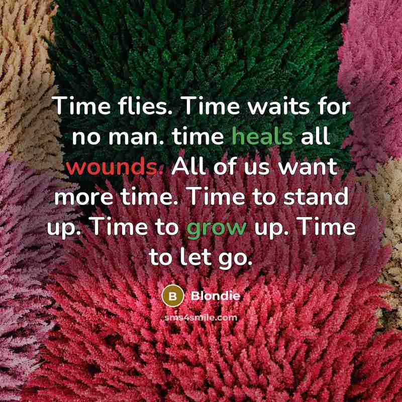 “Time flies. Time waits for no man. time heals all wounds. All of us want more time. Time to stand up. Time to grow up. Time to let go.” quote by Blondie